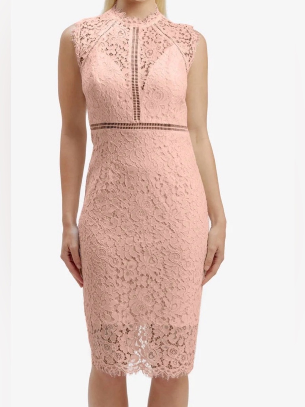 Bardot Women’s 8/M Dusty Pink Lace Panel Knee Length Dress High Neck Sleeveless
